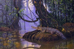 "Tomistoma schlegeli"  The painting that resulted from our expedition to Borneo. See my website for purchasing prints or the original to benifit Tomsitoma research.