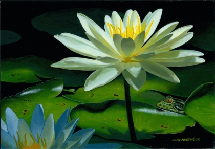"Waterlily and Frog" 8x10 acrylic on panel