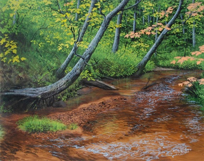"Au Sable Creek" 11 x 14, acrylic on panel